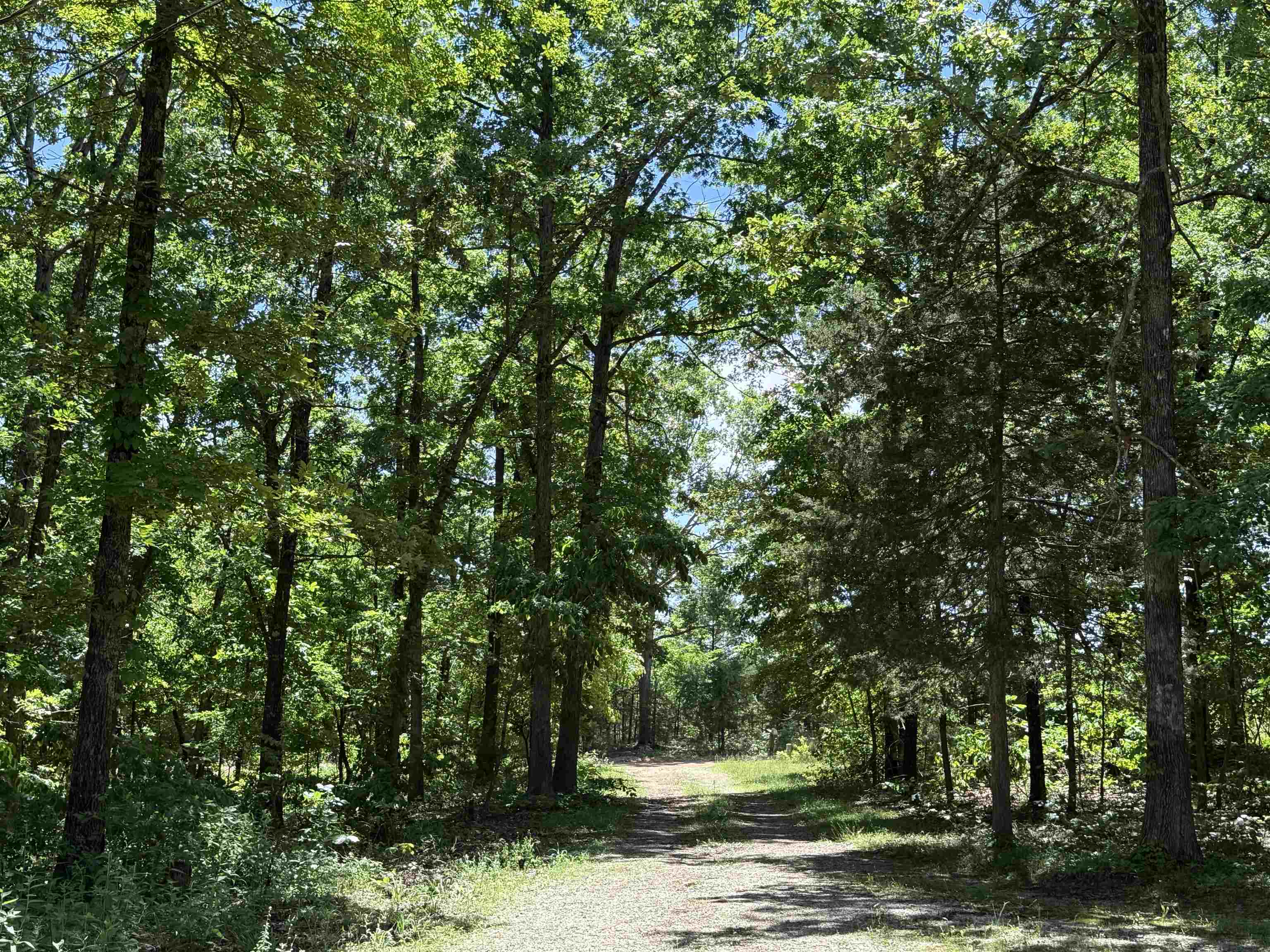 Property Photo: 675 Browns Creek Road AR 72459