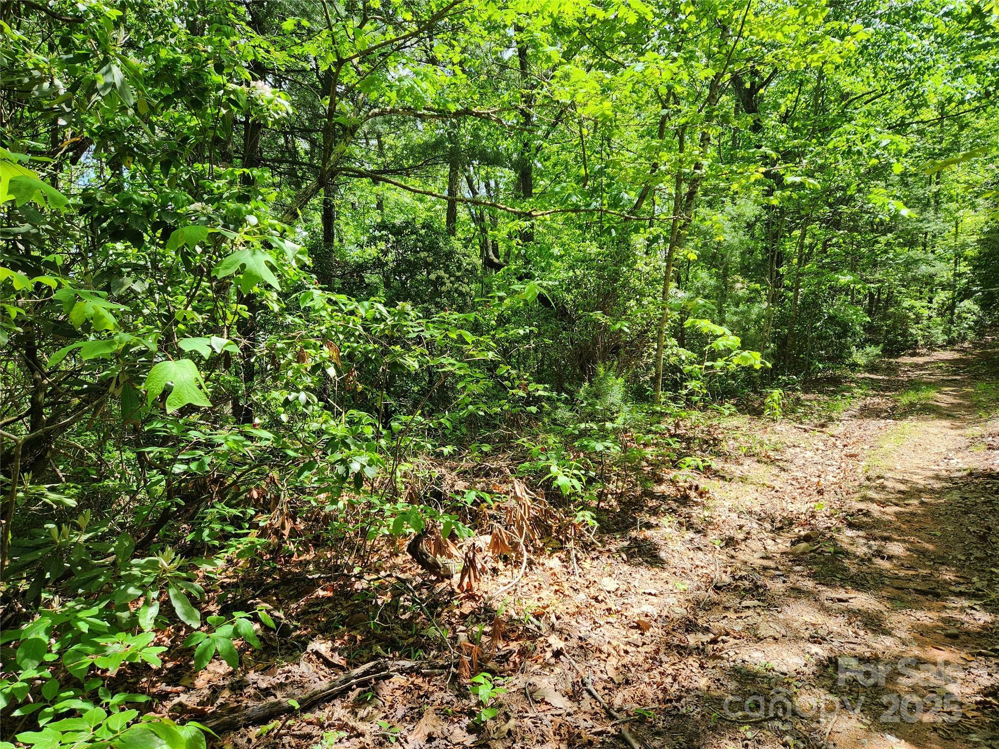 Property Photo:  000 Boone Top None  NC 28790 