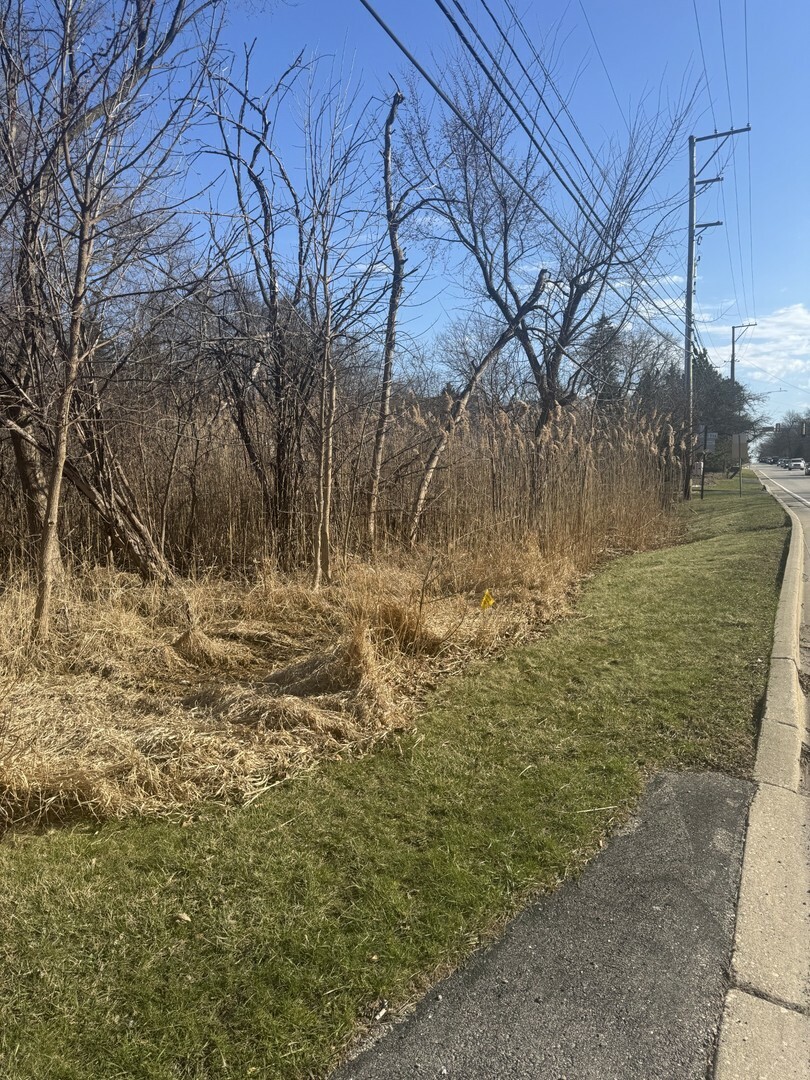 Property Photo:  254 S St. Mary'S Road  IL 60048 