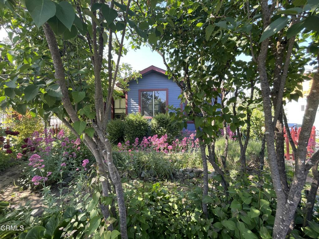 458 E San Francisco Avenue  Willits CA 95490 photo