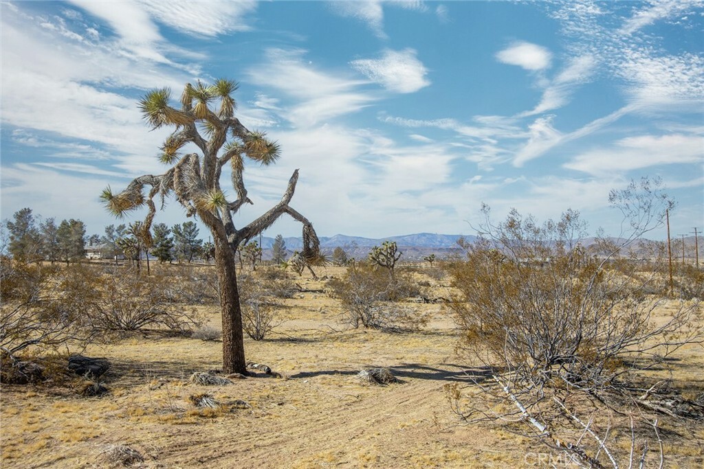 Property Photo: 4 Burke Road CA 92285