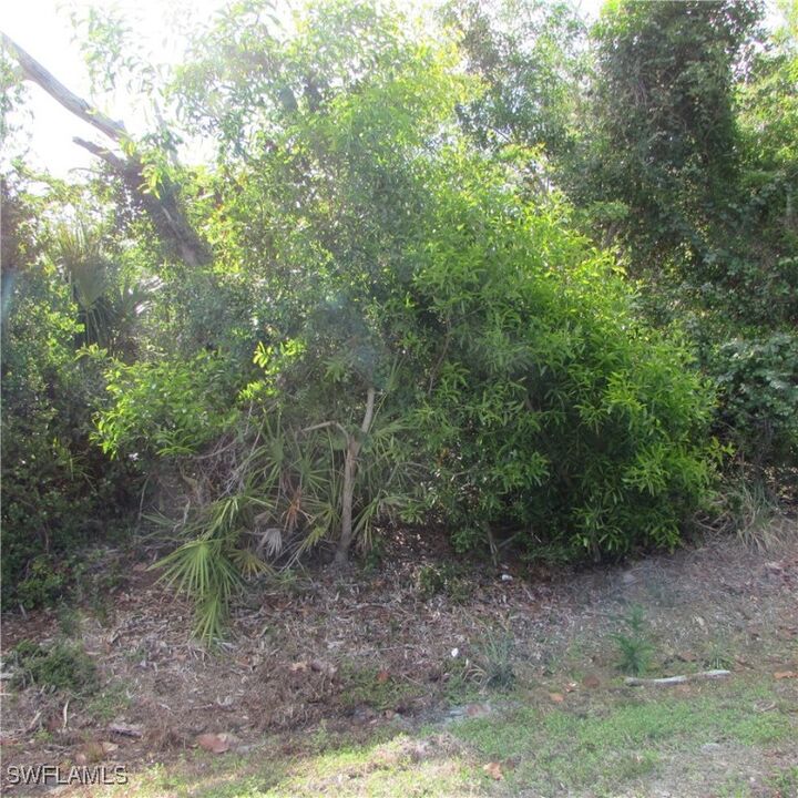 Property Photo: 12348 Dolphin Road FL 33922