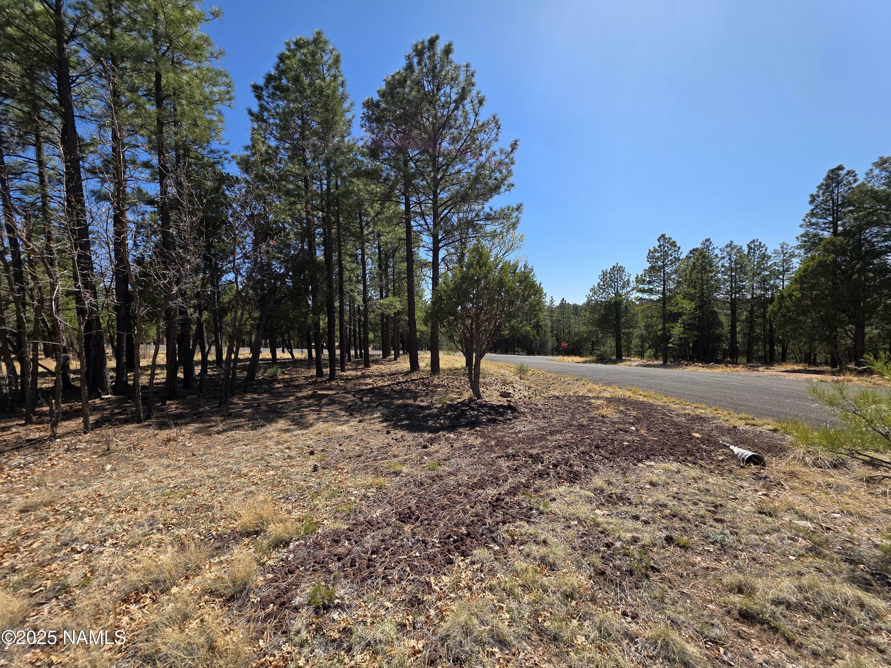 Property Photo:  3286 Roundup Lane  AZ 86024 