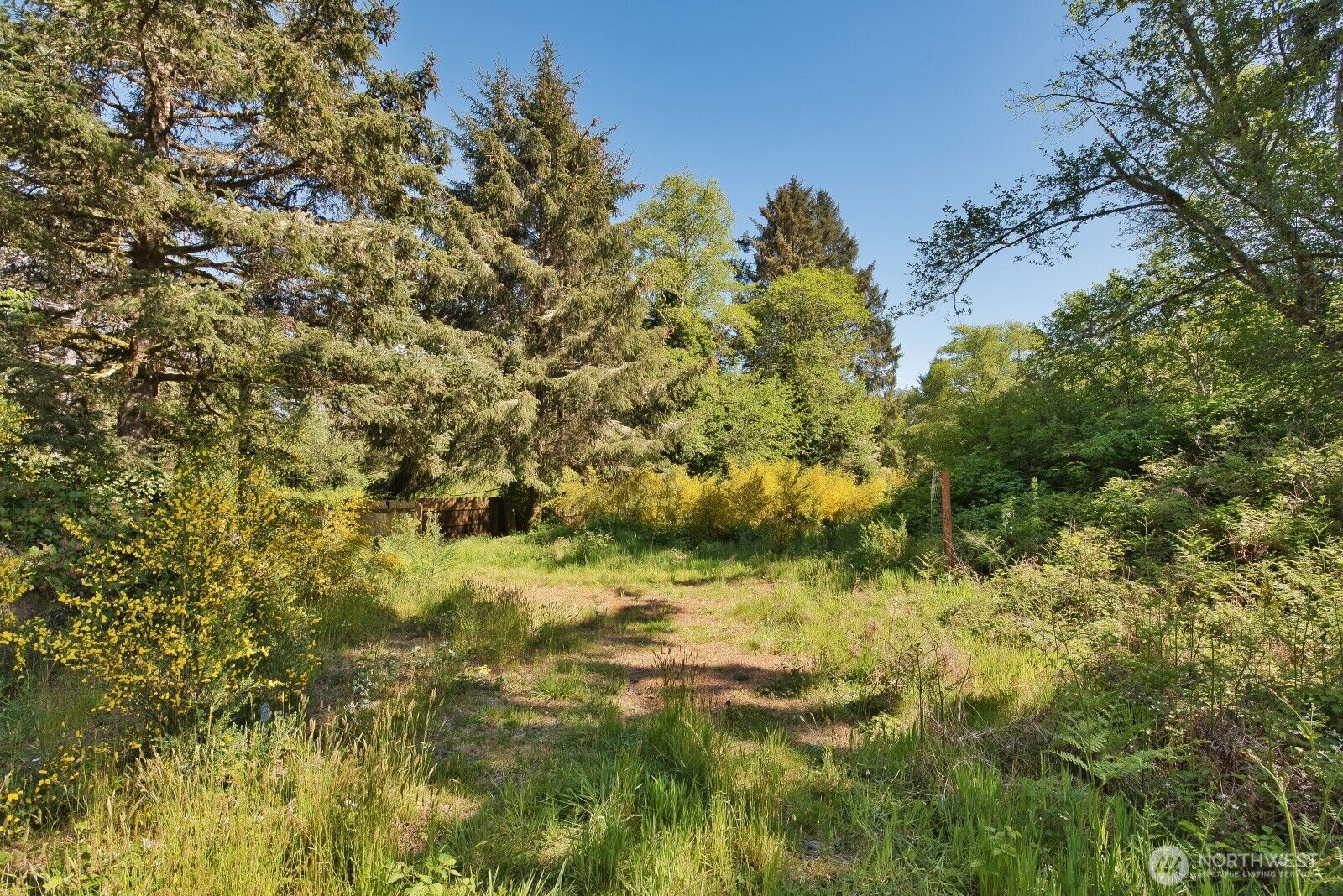 Property Photo: 2461 State Route 109 WA 98569