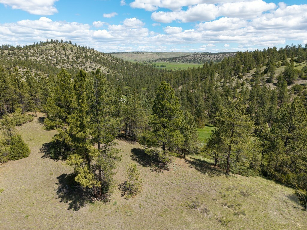 Property Photo: Tbd Gateway Drive MT 59019