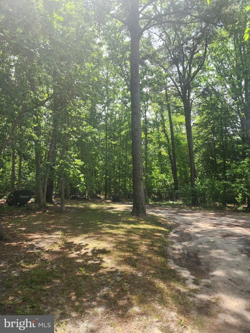 205 Peartree Avenue  Berlin NJ 08009 photo