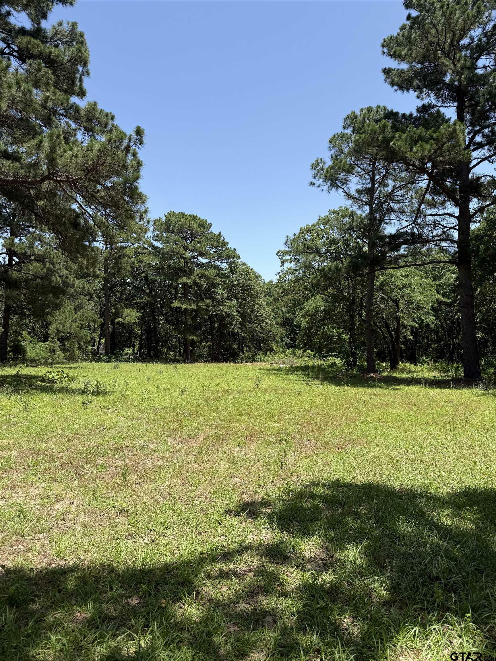 Property Photo: 17102 Cr 4188 TX 75771