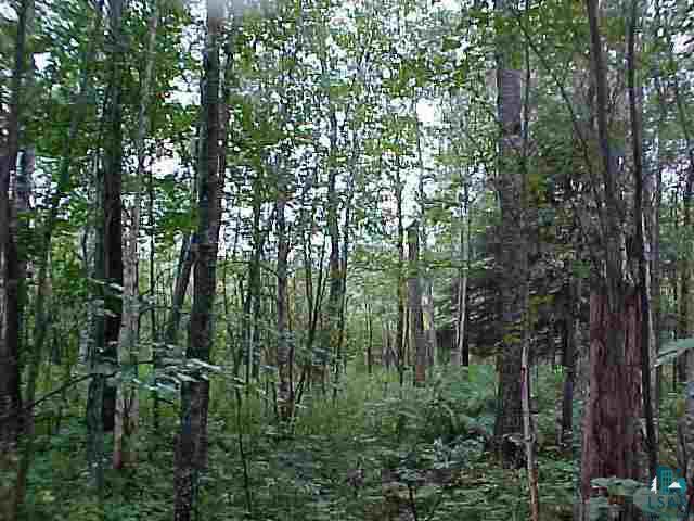 Property Photo: 80 A Leusman Rd WI 54873