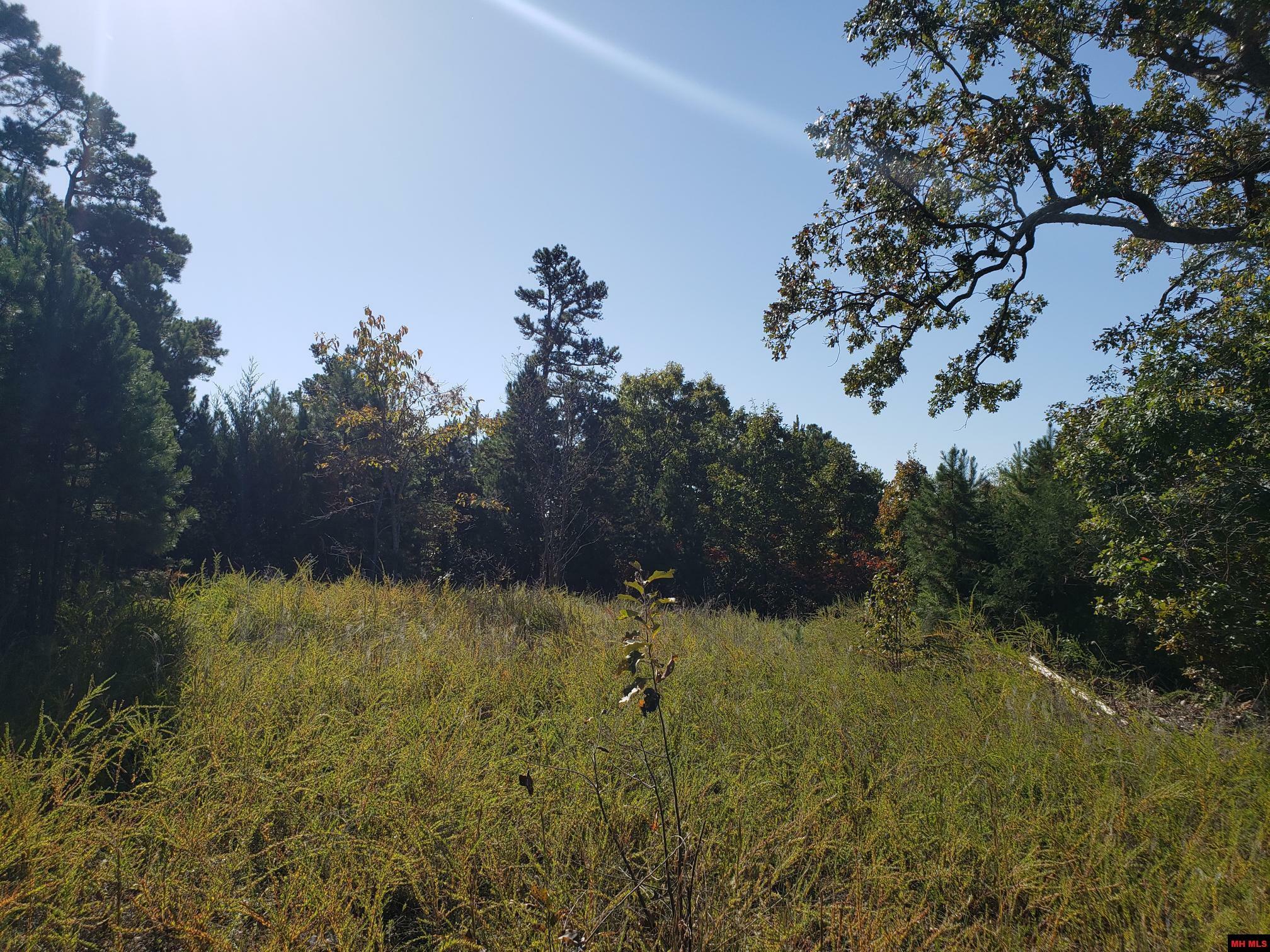 Property Photo: 1008 Mc 2084 AR 72668