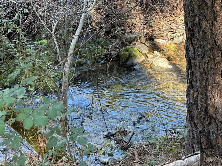 Property Photo:  0 NE Treasure Rock Lane  CA 95667 