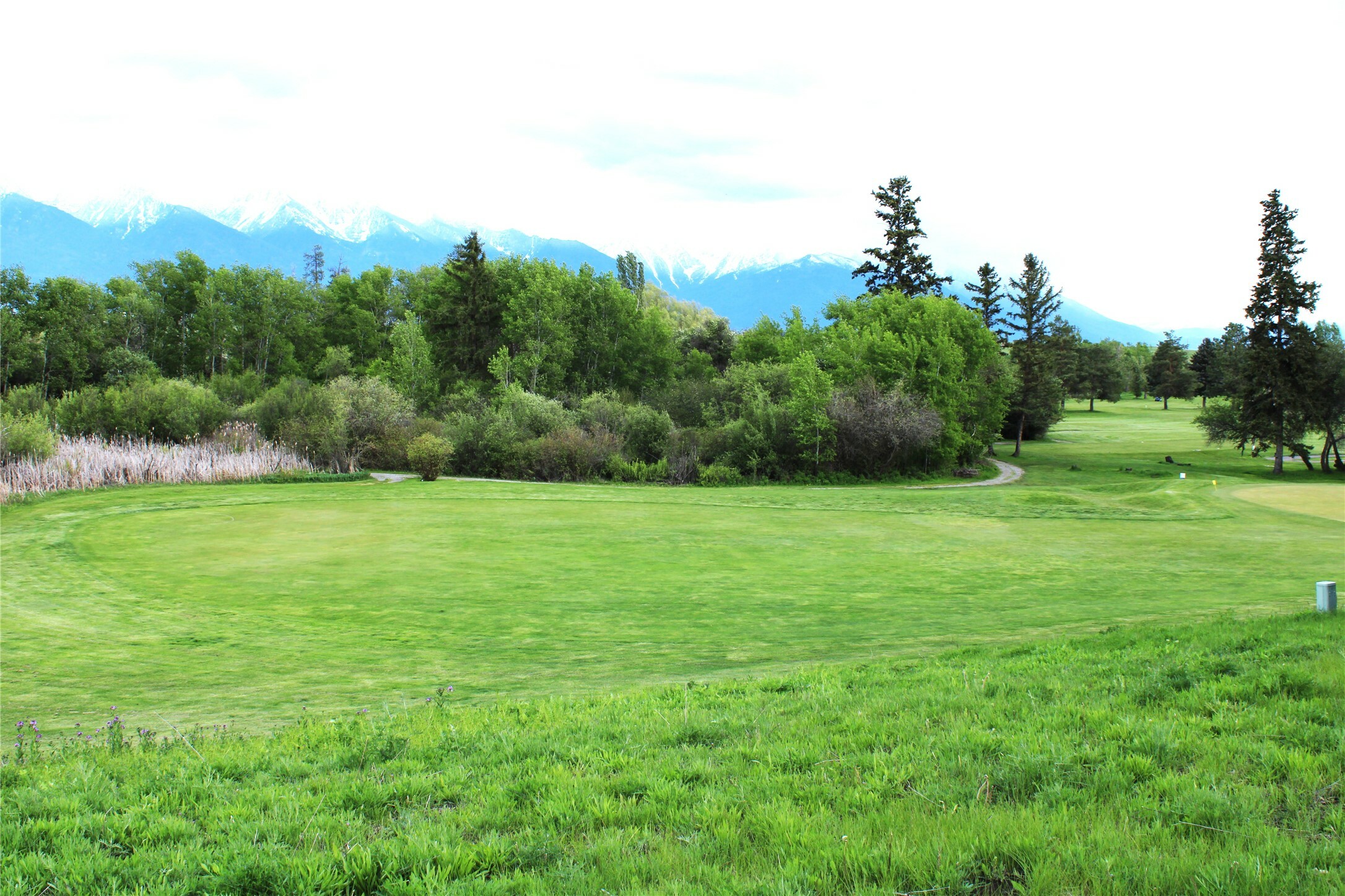 Property Photo: Nhn Stage Coach Trail MT 59864