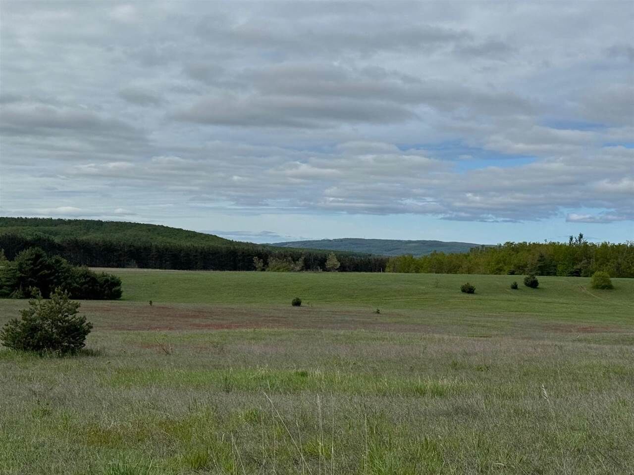 Property Photo: Tbd Nichols MI 49769