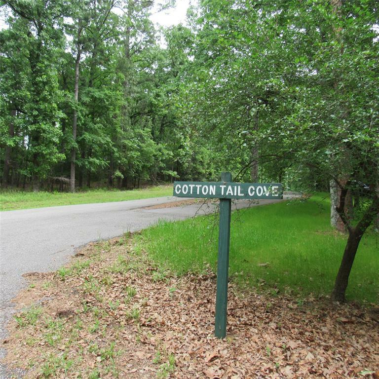 Property Photo: Tbd Rolling Ridge TX 75765