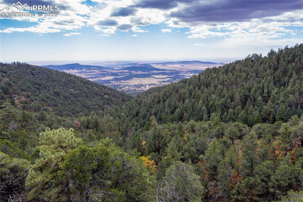 Property Photo: 15825 Henry Ride Heights CO 80926