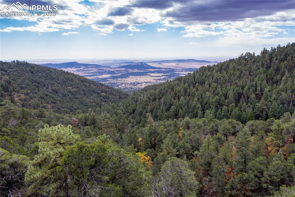 Property Photo:  15825 Henry Ride Heights  CO 80926 