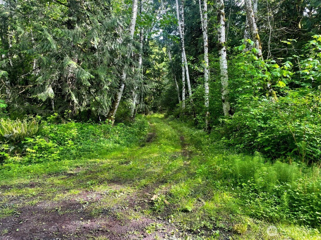 Property Photo: 293 Zion View Lane WA 98376