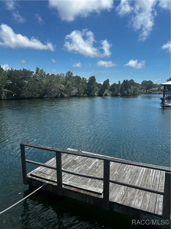 Property Photo: 11 SE Kings Bay Drive FL 34429
