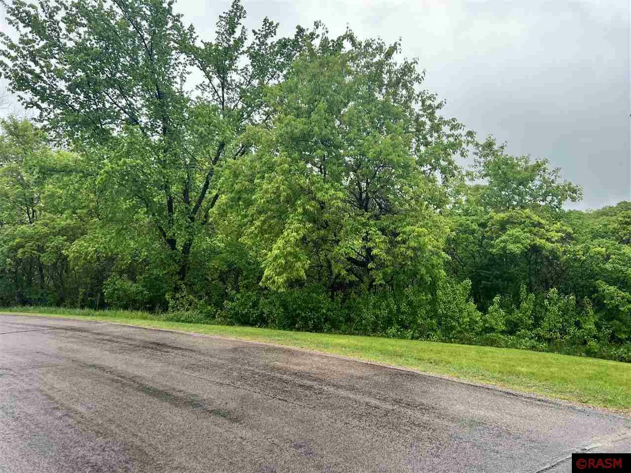 Property Photo: Tbd Birch Bluff Drive MN 56003