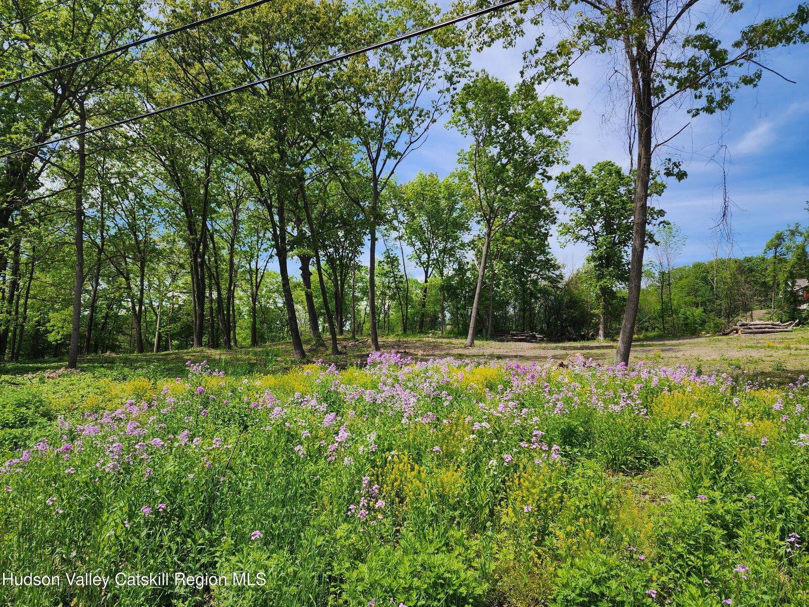 Property Photo:  28 Vosenkill  NY 12414 