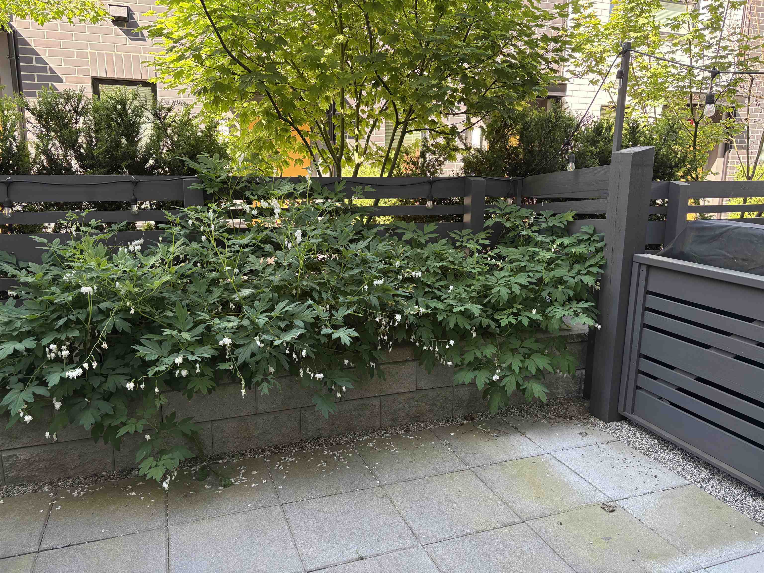 Property Photo: 9739 University Crescent 4 BC V5A 0E8