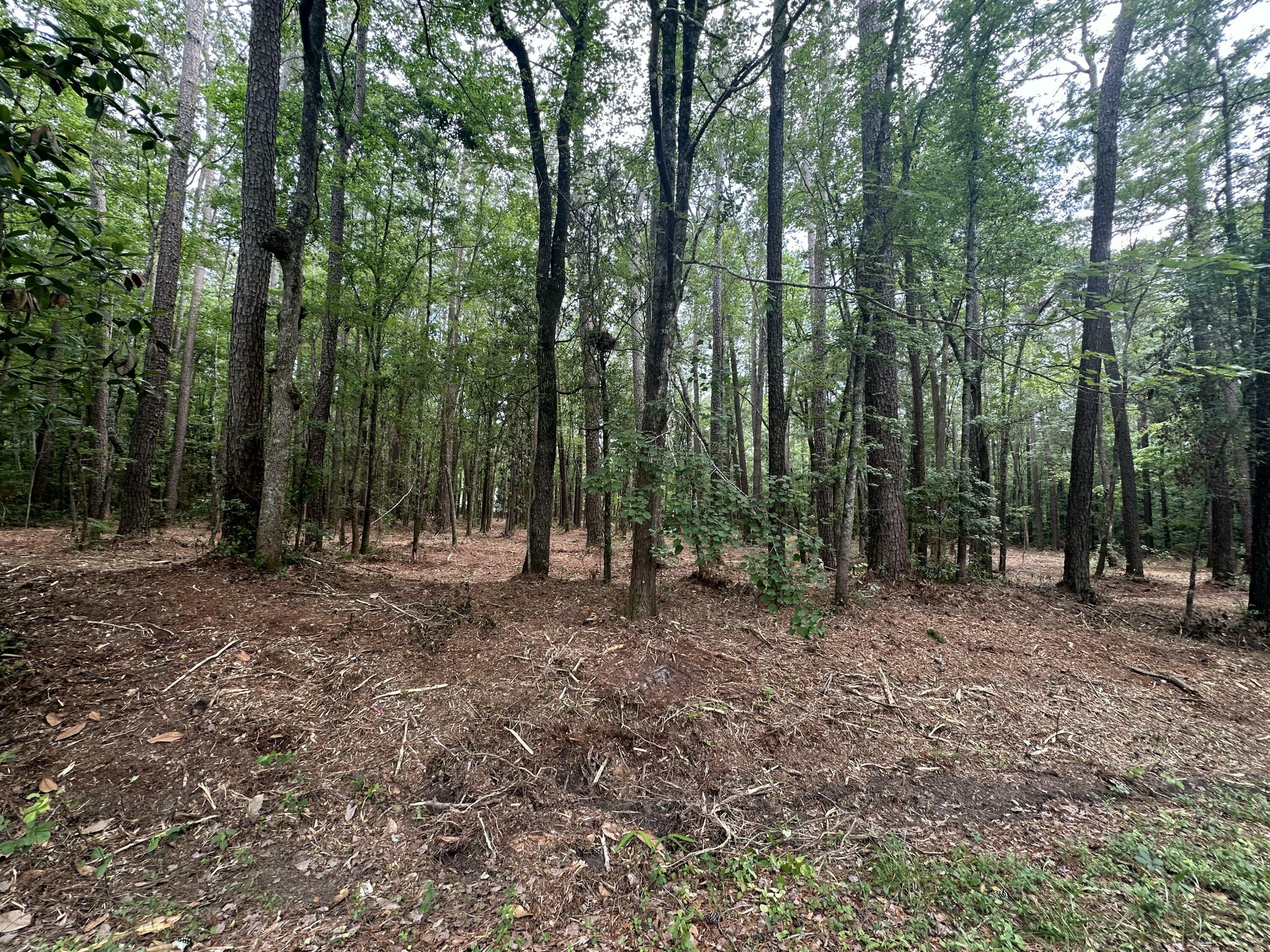 Property Photo: 103 Caveson Drive SC 29483