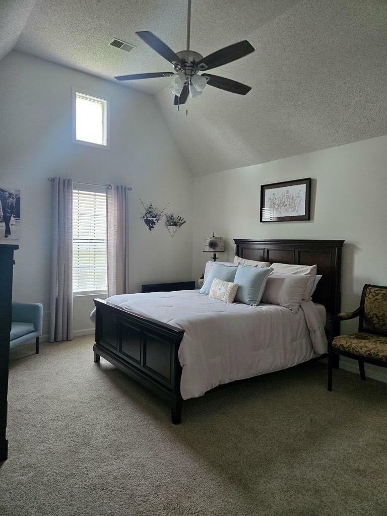 Property Photo:  253 Northwind Drive  AR 72364 