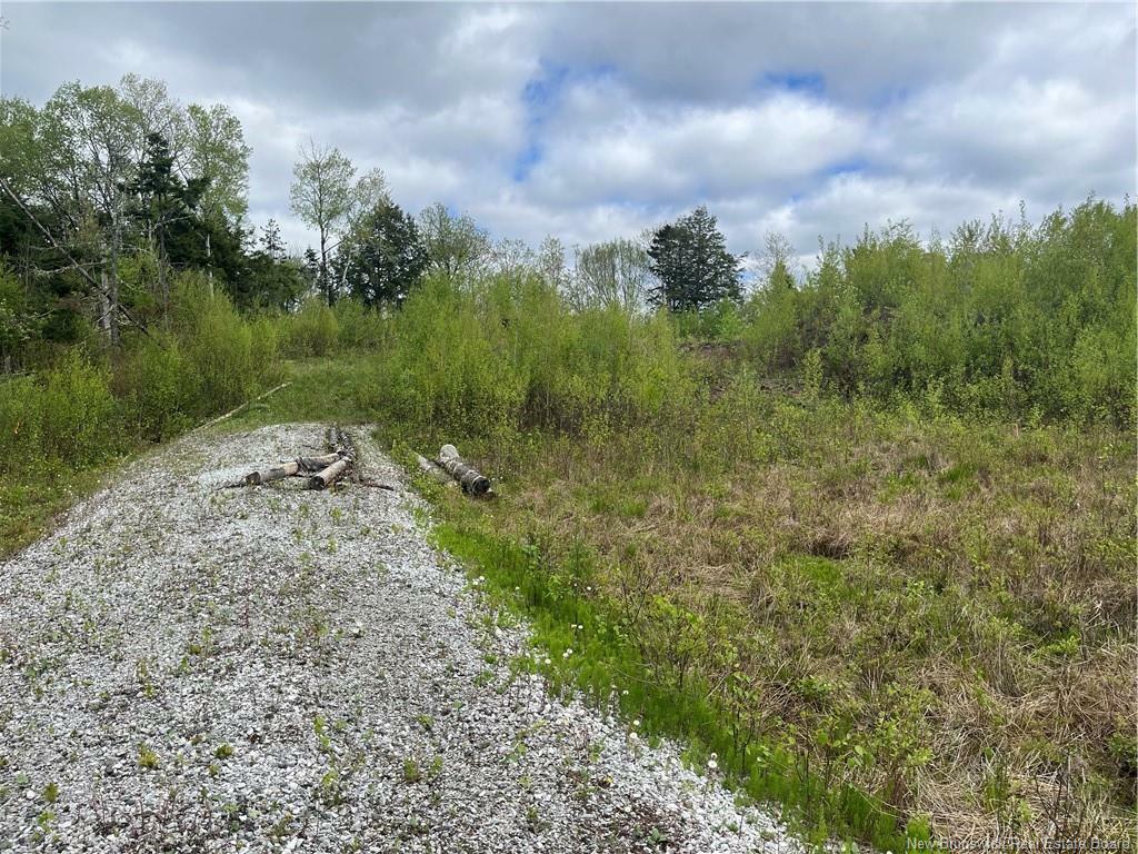 Property Photo:  96 Hilltop Drive  NB E5N 5P2 