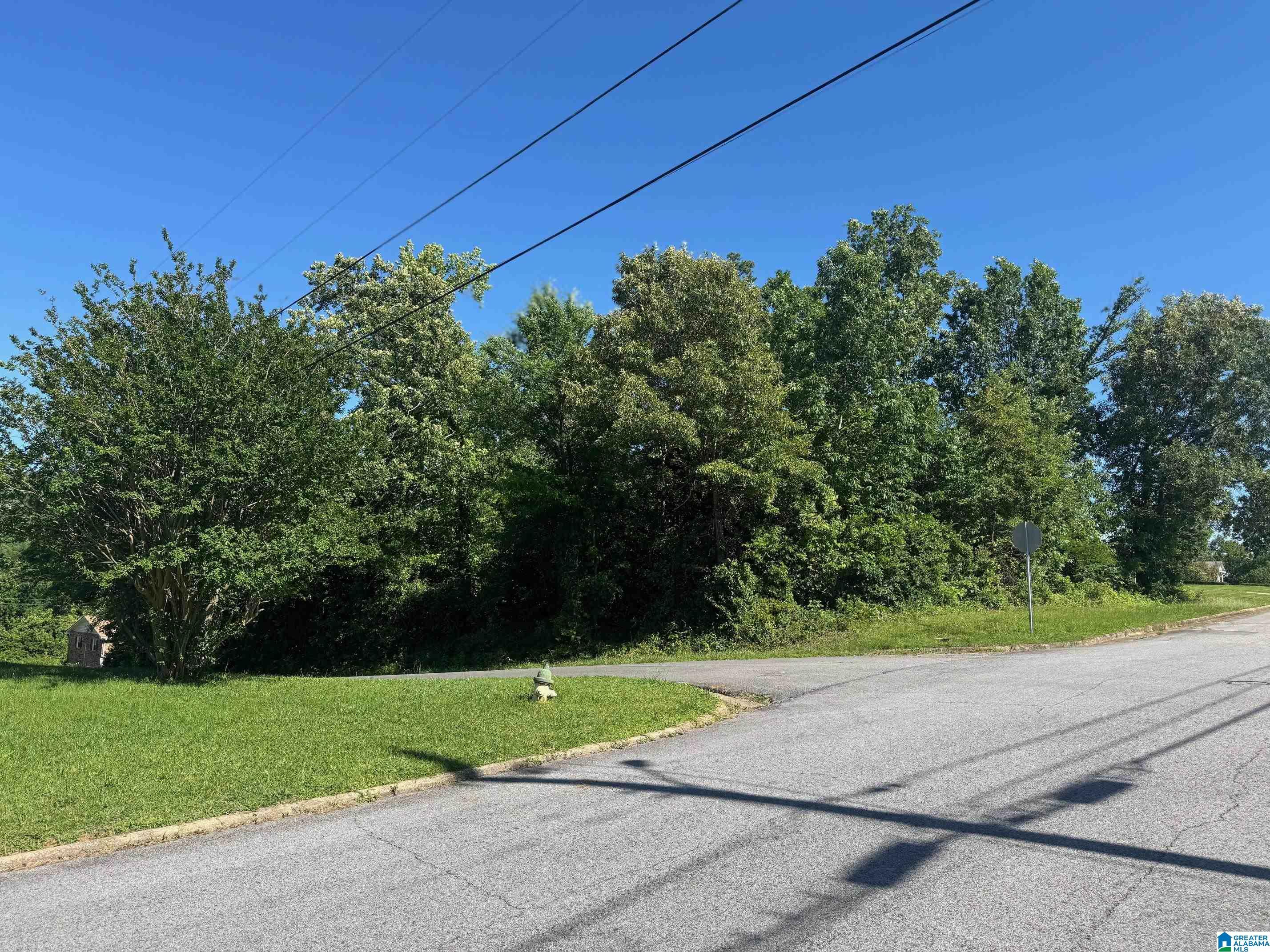 Property Photo: 0 2nd Avenue 39 AL 36265