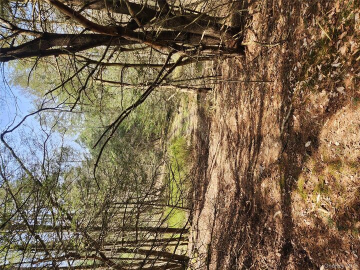Property Photo:  Lot 45 4th Circle  NY 12775 