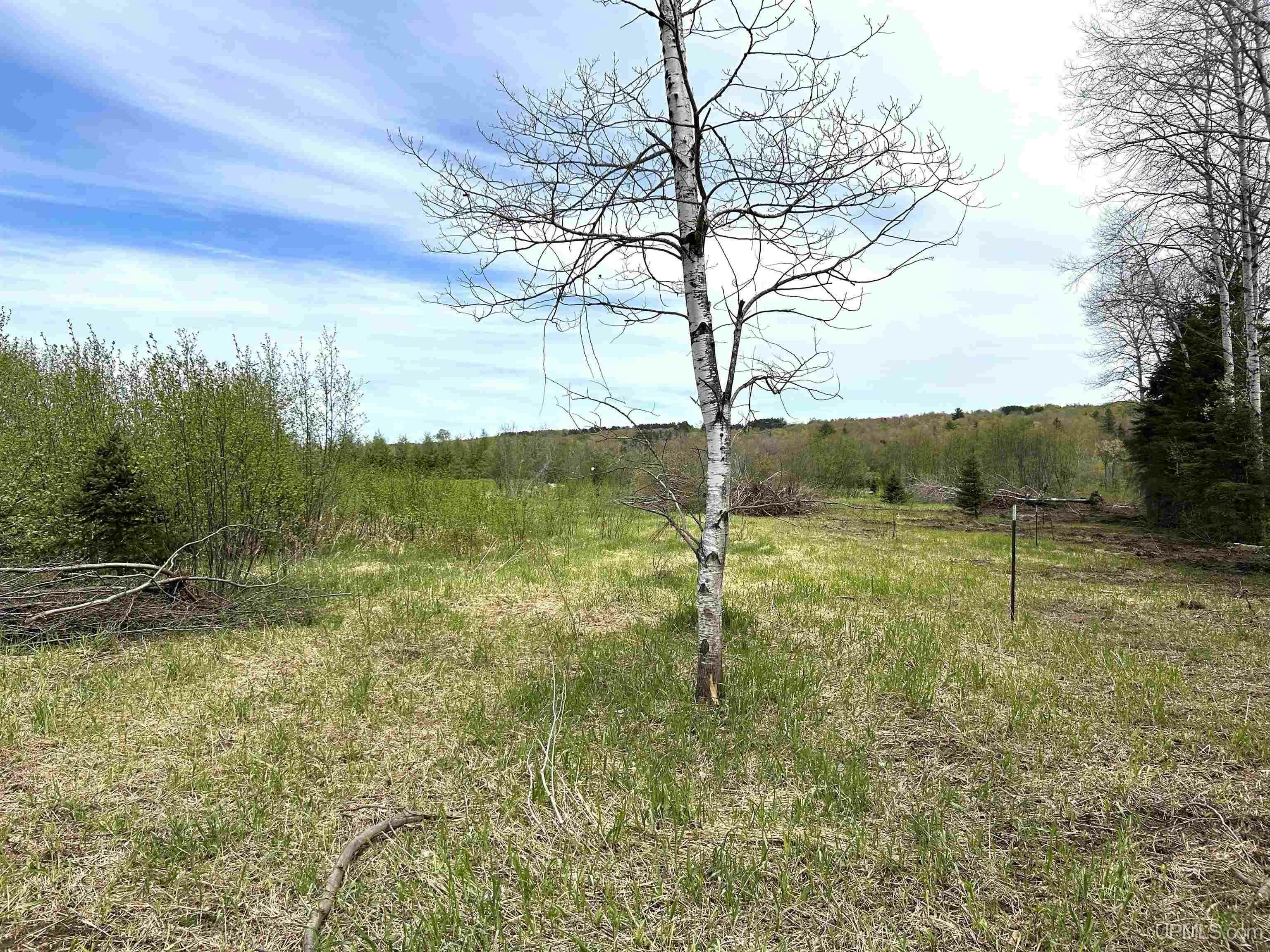 Property Photo: Tbd Lower Worham Road MI 49916