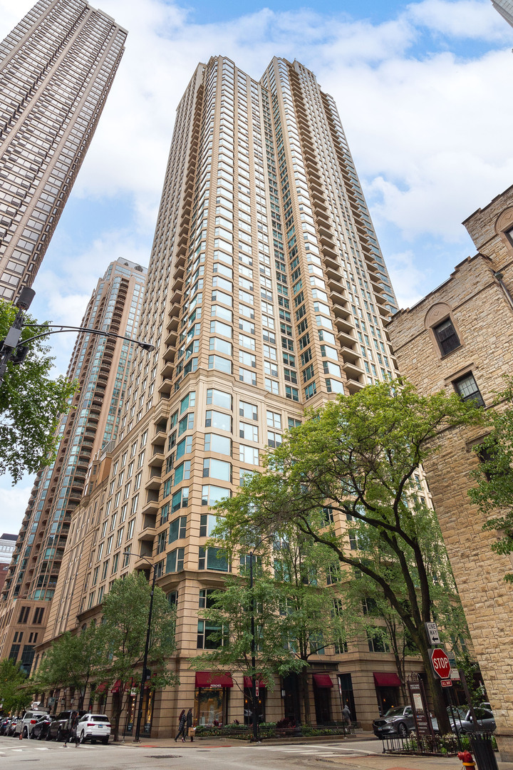 Property Photo: 25 E Superior Street 2805 IL 60611