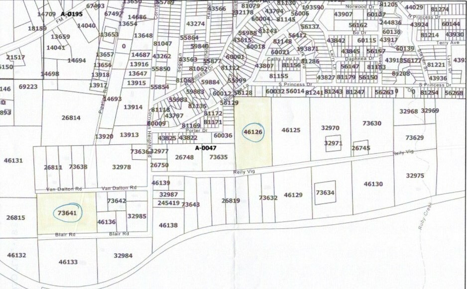 Property Photo:  L73641 Blair Road  TX 75939 