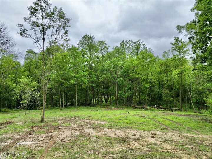 Property Photo: 10100 Honda Hills Road OH 43076