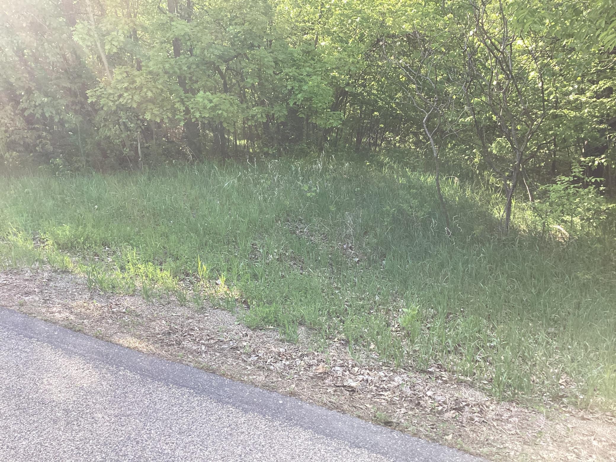 Property Photo:  Tbd Hidden Oaks Drive NW  MN 56308 
