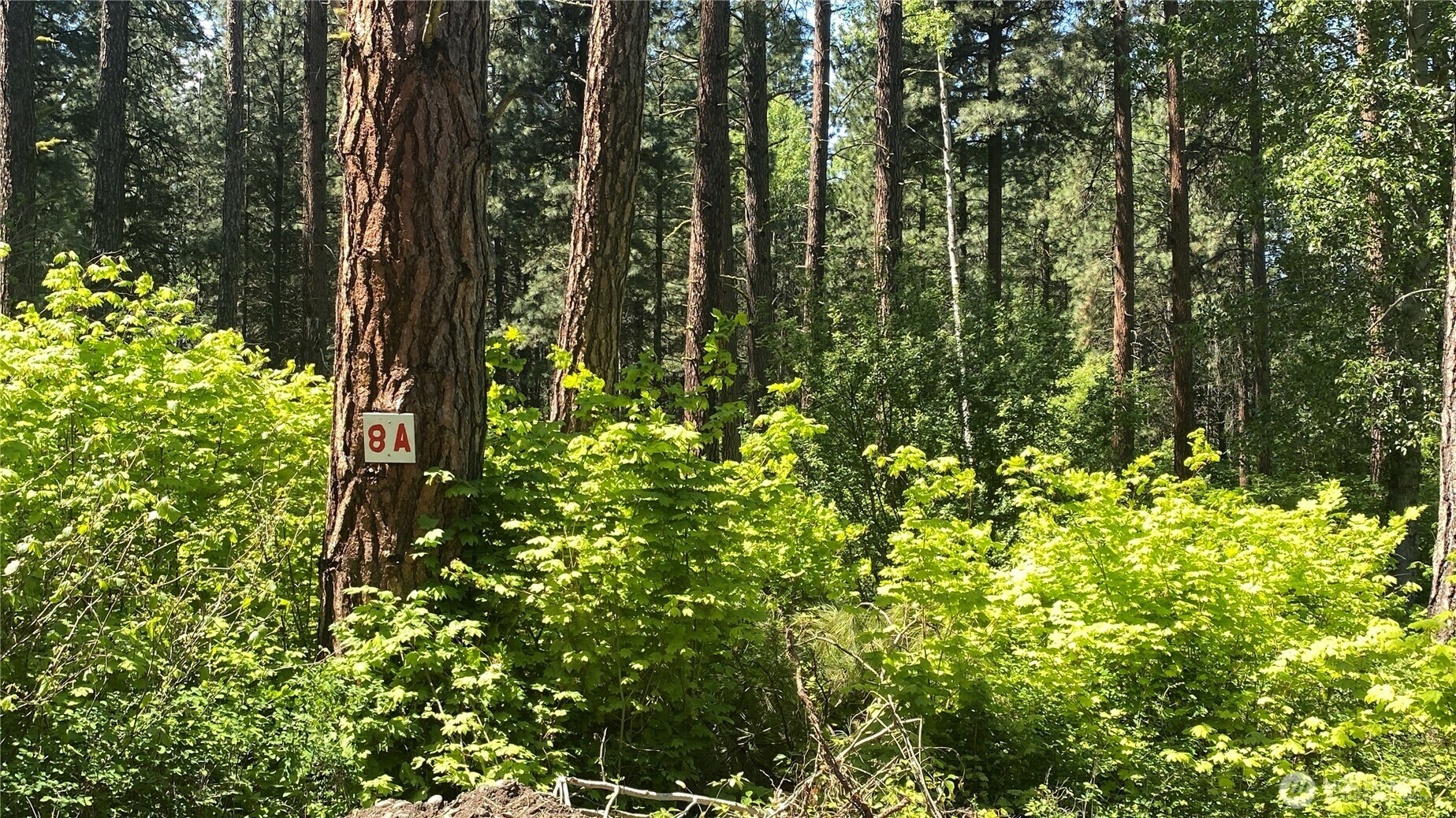Property Photo: 3001 Hwy SR970 Lot 8A WA 98922