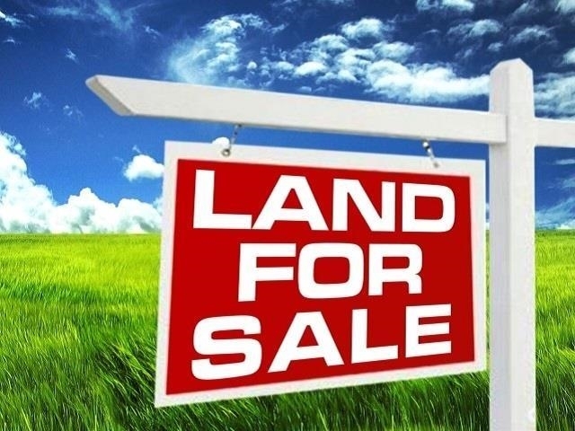 Property Photo:  8295 Hwy 105  TX 77713 