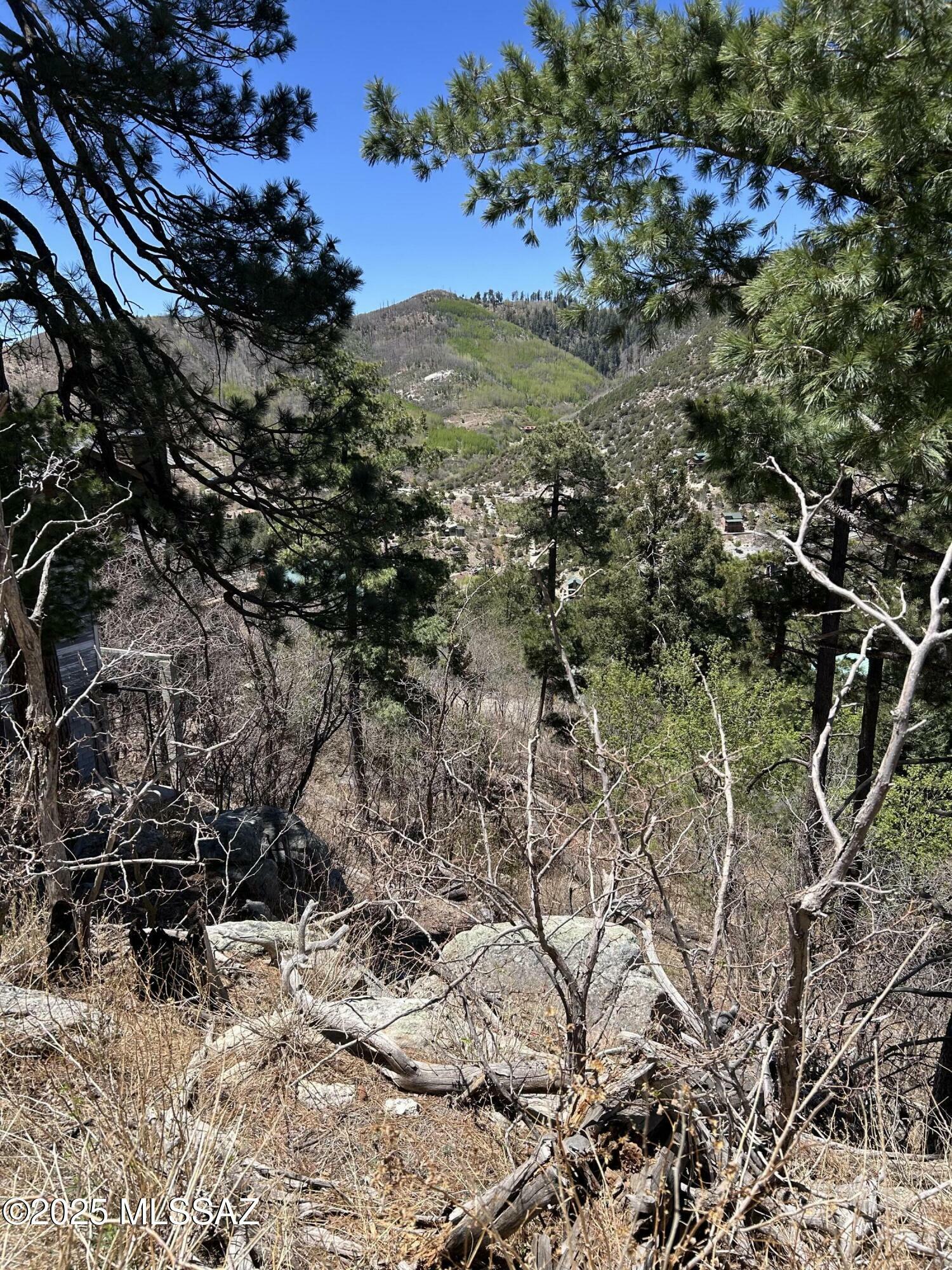 Property Photo: 12896 N Ajo 6 AZ 85619