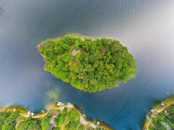 Property Photo: 4423 Island View Drive MI 49735