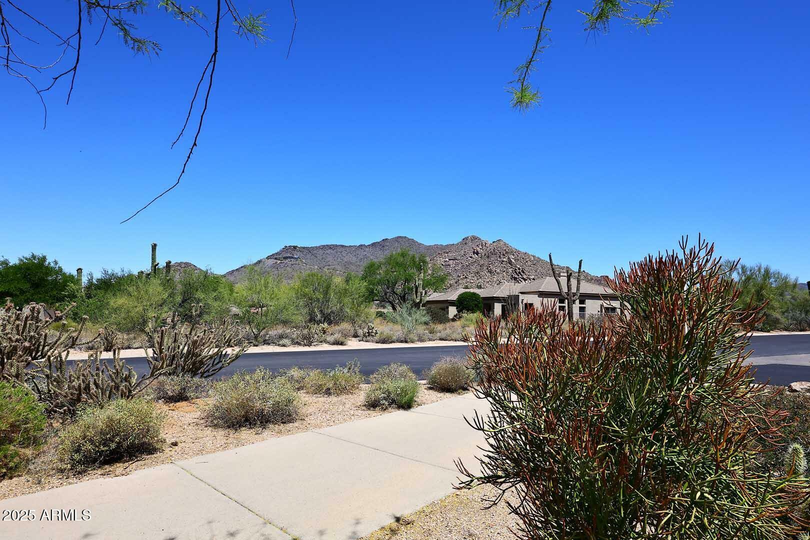 6937 E Purple Shade Circle  Scottsdale AZ 85266 photo
