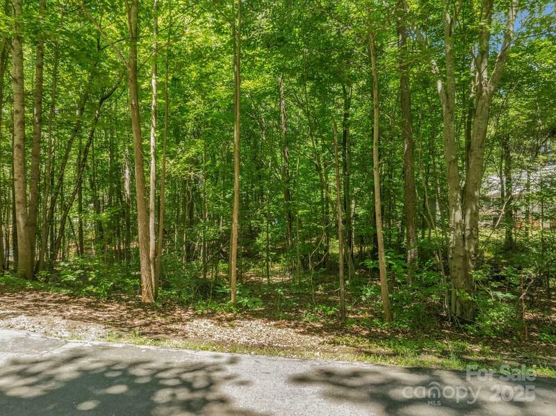 0 Nablus Drive 5  Waxhaw NC 28173 photo