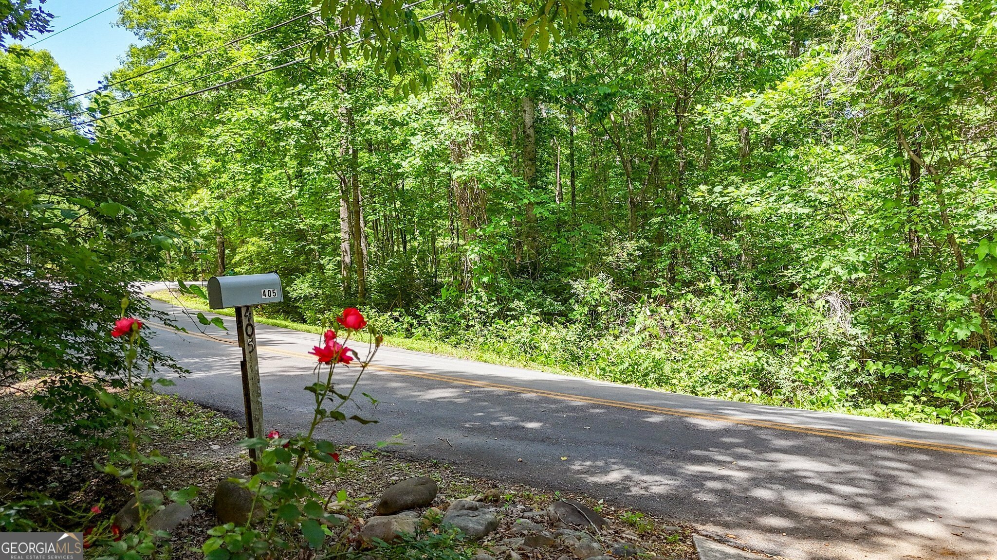 Property Photo: 405 Scenic View Drive GA 30143