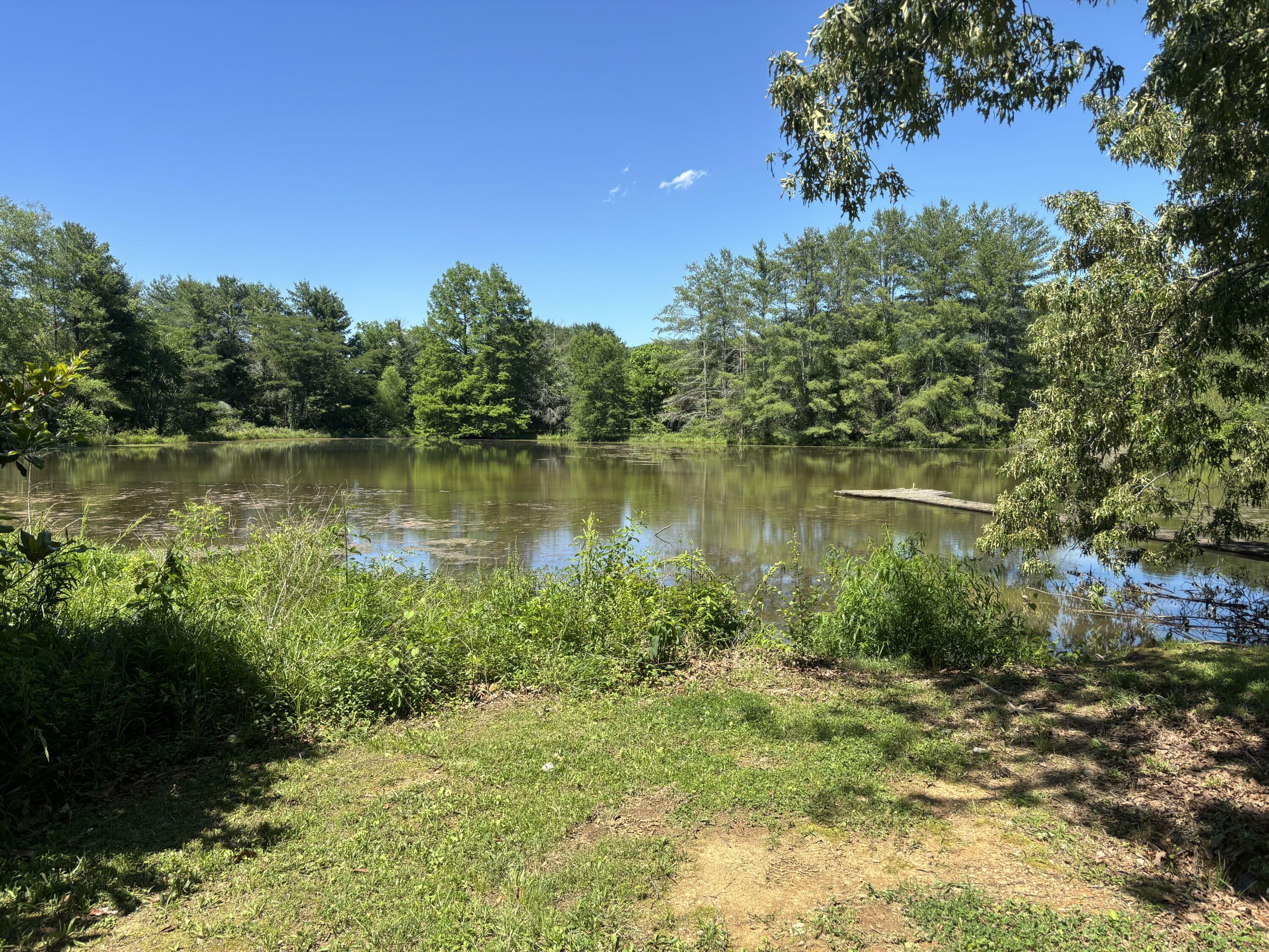 Property Photo:  12466 Alabama Highway  GA 30736 