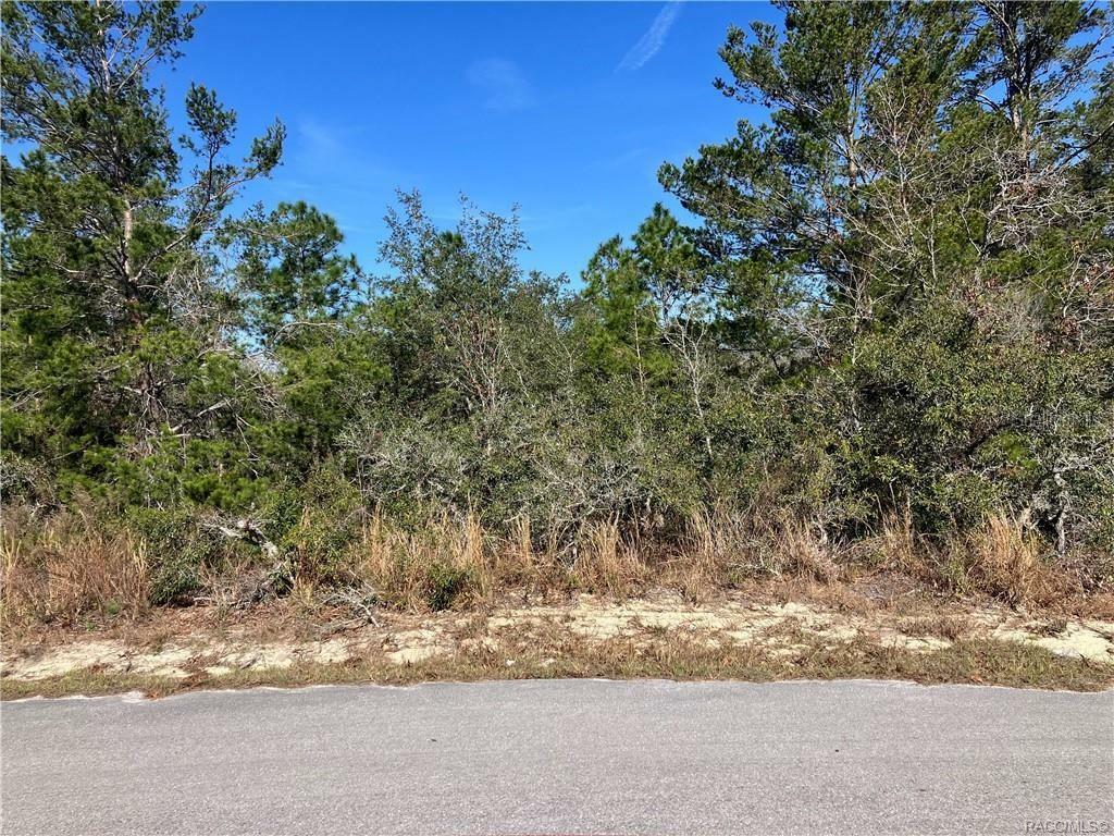 Property Photo: 19 Rudbeckia Court FL 34446