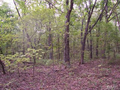 Property Photo: 0 W Outer Road MO 63640
