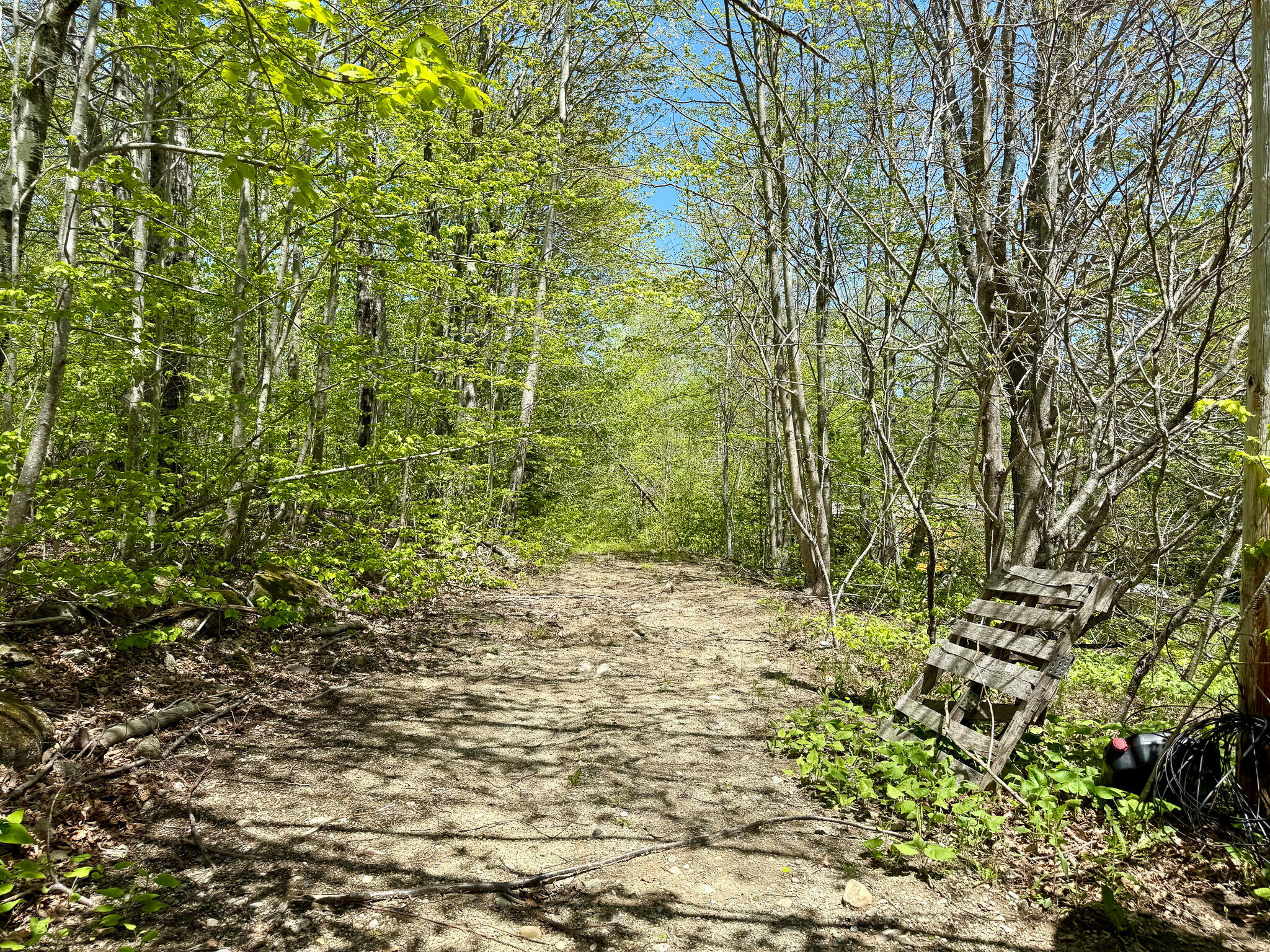 Property Photo: Lot 14A West Shore Road ME 04677