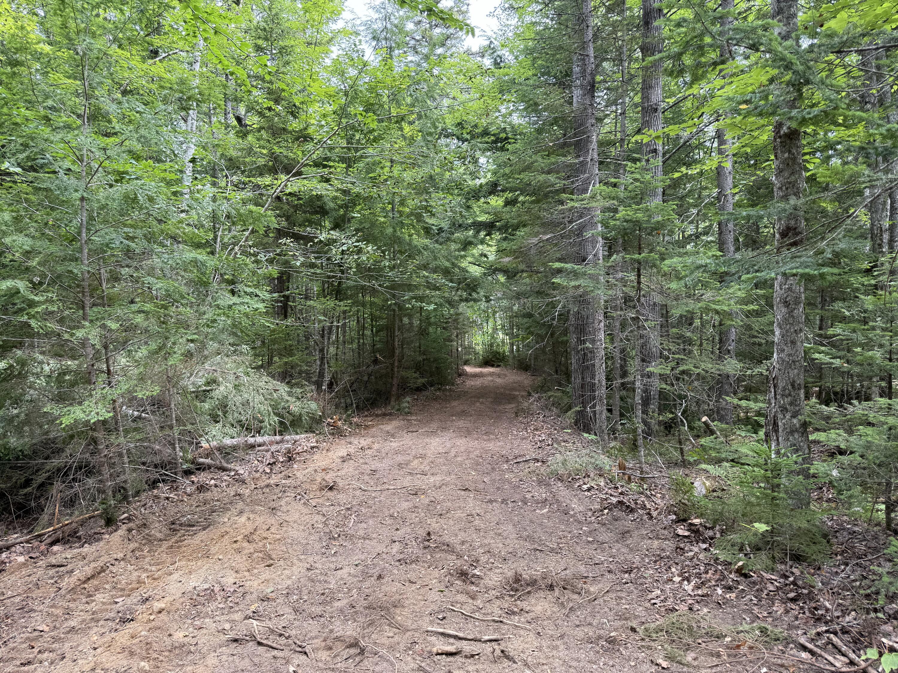 Property Photo: Lot 14A West Shore Road ME 04677