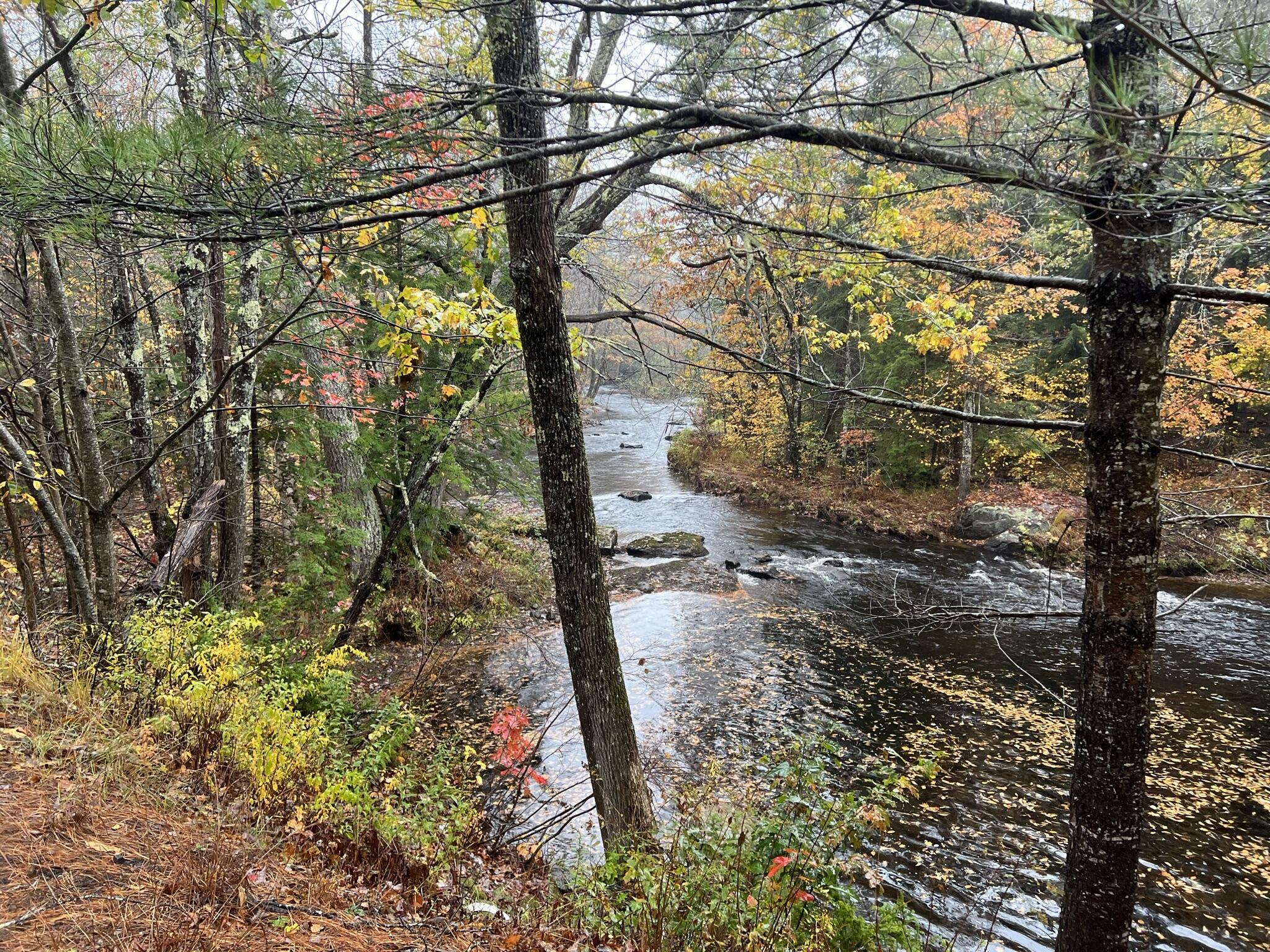Property Photo: Tbd Lot Norway Road ME 04088