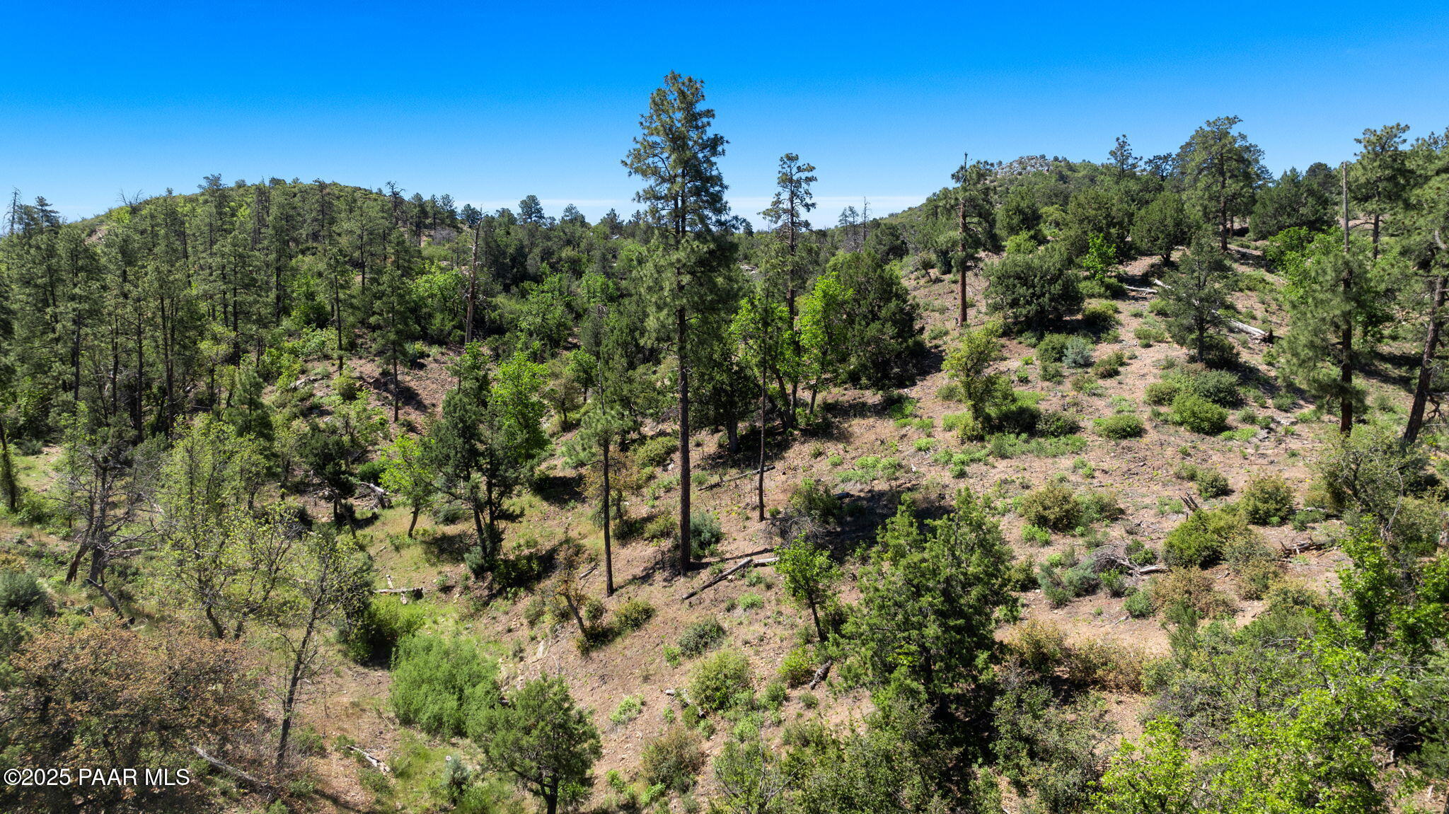 1751 W Wilderness Trail  Prescott AZ 86303 photo