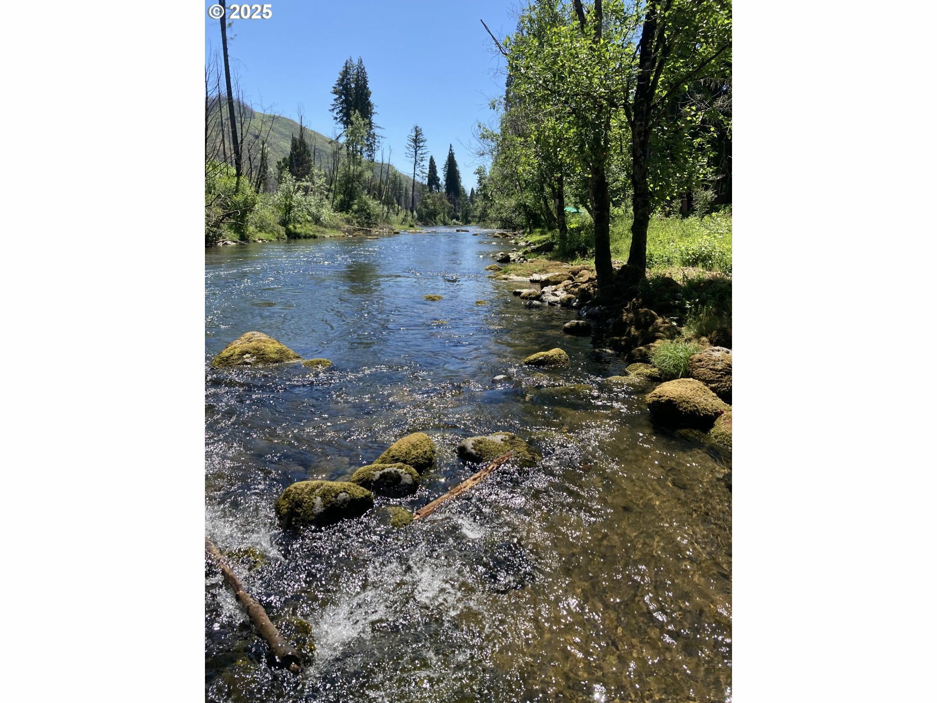 Property Photo: 91303 Blue River Rd OR 97413