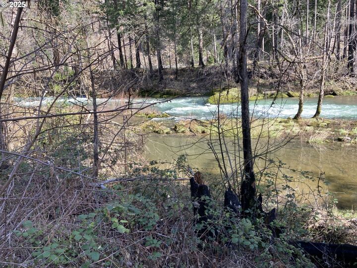 Property Photo: 91303 Blue River Rd OR 97413